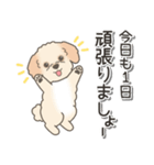 やさしいマルプー【仕事＆連絡】（個別スタンプ：16）