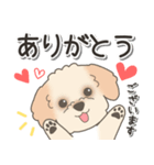 やさしいマルプー【仕事＆連絡】（個別スタンプ：18）