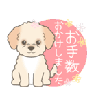 やさしいマルプー【仕事＆連絡】（個別スタンプ：24）