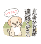 やさしいマルプー【仕事＆連絡】（個別スタンプ：30）