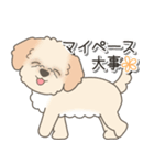 やさしいマルプー【仕事＆連絡】（個別スタンプ：34）