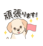 やさしいマルプー【仕事＆連絡】（個別スタンプ：35）