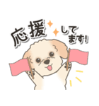 やさしいマルプー【仕事＆連絡】（個別スタンプ：36）