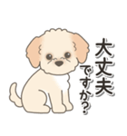 やさしいマルプー【仕事＆連絡】（個別スタンプ：37）
