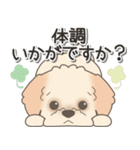 やさしいマルプー【仕事＆連絡】（個別スタンプ：38）