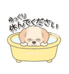 やさしいマルプー【仕事＆連絡】（個別スタンプ：39）