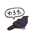 カラスです。（個別スタンプ：6）