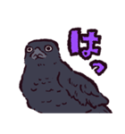 カラスです。（個別スタンプ：9）