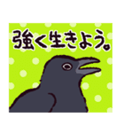 カラスです。（個別スタンプ：38）