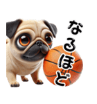 パグ×バスケットボール！可愛すぎる！（個別スタンプ：11）