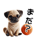 パグ×バスケットボール！可愛すぎる！（個別スタンプ：27）