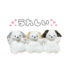 まんぷくアニマルズ（個別スタンプ：17）