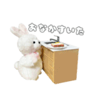 まんぷくアニマルズ（個別スタンプ：35）