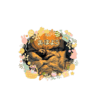 熊、くま、kuma、くまぁー（個別スタンプ：11）