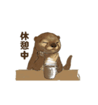 アクションk-gigi34（個別スタンプ：13）