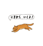 アクションk-gigi34（個別スタンプ：14）