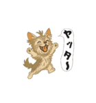 アクションk-gigi34（個別スタンプ：15）