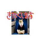 お酒とネコ好きな日常会話55（個別スタンプ：3）