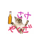 お酒とネコ好きな日常会話55（個別スタンプ：9）
