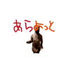 お酒とネコ好きな日常会話55（個別スタンプ：14）