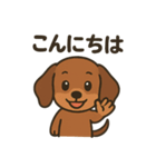 だっくすの日常。（個別スタンプ：4）