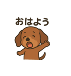 だっくすの日常。（個別スタンプ：5）