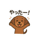 だっくすの日常。（個別スタンプ：8）