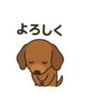 だっくすの日常。（個別スタンプ：9）