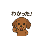だっくすの日常。（個別スタンプ：10）