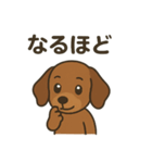 だっくすの日常。（個別スタンプ：15）