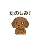 だっくすの日常。（個別スタンプ：18）