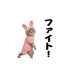お猫様の動くスタンプ3（個別スタンプ：4）