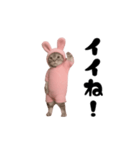 お猫様の動くスタンプ3（個別スタンプ：9）