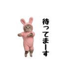 お猫様の動くスタンプ3（個別スタンプ：11）
