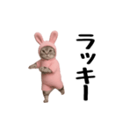 お猫様の動くスタンプ3（個別スタンプ：13）