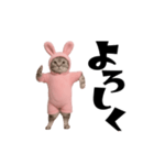 お猫様の動くスタンプ3（個別スタンプ：22）