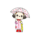 かわいい♡シーズーちゃん①（個別スタンプ：17）