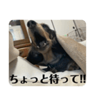 リオネル❸（個別スタンプ：4）