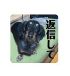 リオネル❸（個別スタンプ：11）