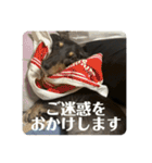 リオネル❸（個別スタンプ：12）