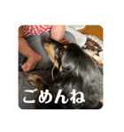リオネル❸（個別スタンプ：16）