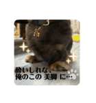 リオネル❸（個別スタンプ：17）