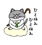 でぶネコ仙人【癒しのひと言】（個別スタンプ：1）