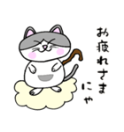 でぶネコ仙人【癒しのひと言】（個別スタンプ：2）