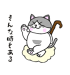 でぶネコ仙人【癒しのひと言】（個別スタンプ：4）