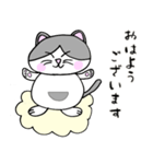 でぶネコ仙人【癒しのひと言】（個別スタンプ：5）
