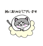 でぶネコ仙人【癒しのひと言】（個別スタンプ：6）