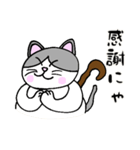 でぶネコ仙人【癒しのひと言】（個別スタンプ：8）