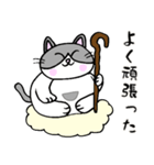 でぶネコ仙人【癒しのひと言】（個別スタンプ：9）
