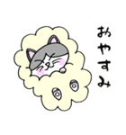 でぶネコ仙人【癒しのひと言】（個別スタンプ：14）